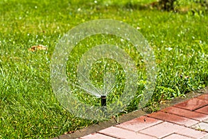 Automatic sprinklers for watering grass. the lawn is watered in summer. convenient for home