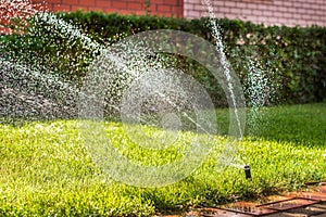 Automatic sprinklers for watering grass. the lawn is watered in summer. convenient for home