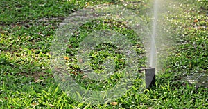 Automatic sprinklers watering green grass