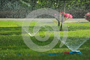 Automatic sprinklers watering green grass in park. Irrigation system