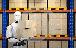 Automatic warehouse with robot work in warehouse