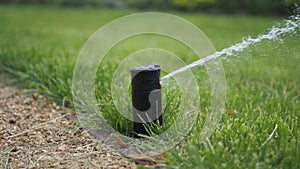 automatic watering grass, garden lawn sprinkler in action.