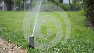 automatic watering grass, garden lawn sprinkler in action.