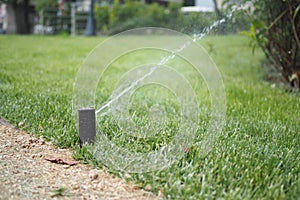 automatic watering grass, garden lawn sprinkler in action.