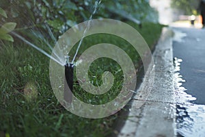 automatic watering grass, garden lawn sprinkler in action.