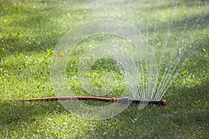 Automatic Watering the green lawn garden sprinkler on a sunny summer