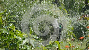 Automatic watering of lawn, garden. System automatic sprinkler. Slow motion