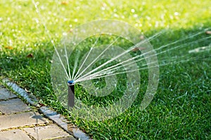 Automatic watering lawns photo