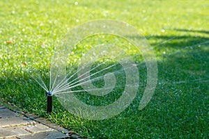 Automatic watering lawns. Gardening and landscapeing. photo