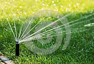 Automatic watering lawns. Gardening and landscaping equipment.