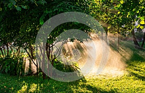 Automatic watering lawns