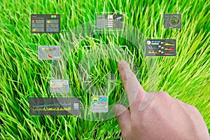 Automation farm for precision agriculture technology with digital interface on field