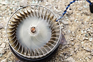 Automobile blower motor fan