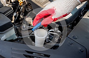 Automobile Maintenance. Filling the Windshield Washer Fluid on a Car