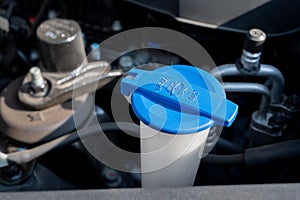 Automobile Maintenance. Windshield washer fluid cap with blue color in the engine room of car