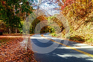 Automobile road in the autumn forest. Autumn colors of colorful trees on a sunny day