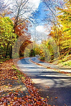 Automobile road in the autumn forest. Autumn colors of colorful trees on a sunny day