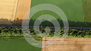 Automobile road, car driving along it between yellow green agricultural fields