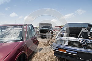 Automobile salvage yard photo