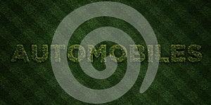 AUTOMOBILES - fresh Grass letters with flowers and dandelions - 3D rendered royalty free stock image