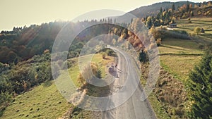 Automobiles on grey asphalt road lit by autumn sunlight