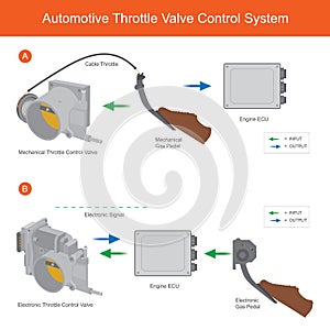 Automotive Throttle Valve Control System. Illustration