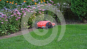 Automower cuts the well manicured lawn. Landscape image with space for copy. Green grass trimming with lawn mower.