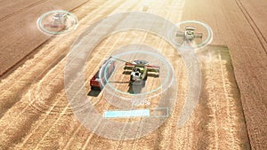 Autonomous transportation in agriculture. Self-driving harvesters ride on wheat field and harvest. Aerial view