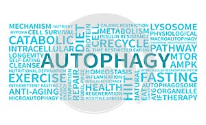 Autophagy word cloud vector