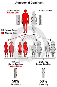 Autosomal Dominant Hereditary Trait