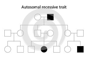 Autosomal recessive trait. photo