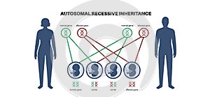 Autosomal recessive inheritance