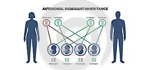 Autosomal recessive inheritance