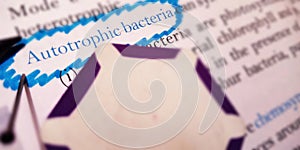 autotrophic bacteria text covering through blue border text pattern
