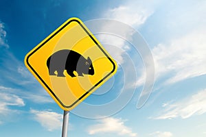 Autralian wildlife wombats road sign with blue sky and cloud background