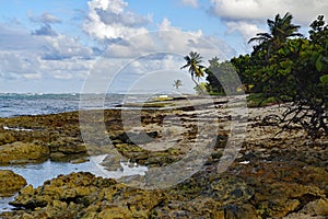 Autre Bord beach in Le Moule in Guadeloupe, French west indies. Lesser Antilles, Caribbean sea