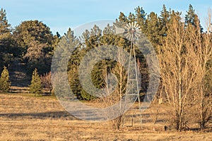 Autum American western rural ranch countryside landscape with tall vintage rustic retro windmill in a mowed field and green oak