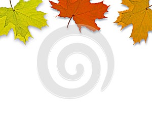 Autum Background