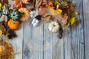 Autumn Background with leaves, pumpkins, and gourds.