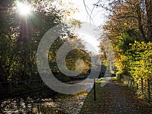 Autum in the canal