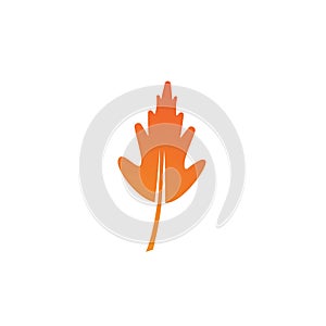 Autum Leaf Logo
