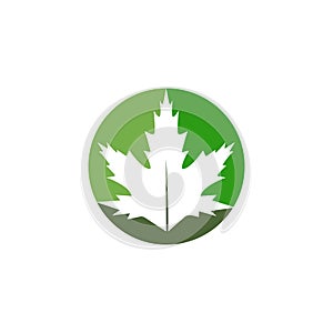 Autum Leaf Logo