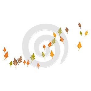 Autum Leaf Logo