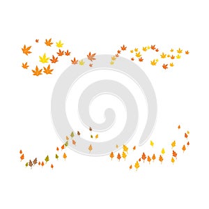 Autum Leaf Logo
