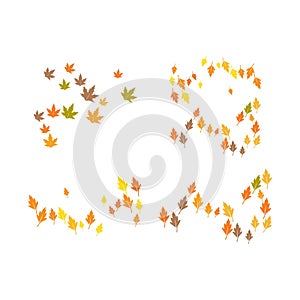 Autum Leaf Logo