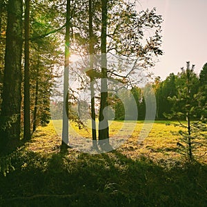 Autum in a park