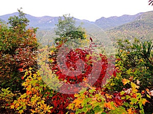 Autum View of Blue Ridge Mountains in Lake Lure, NC