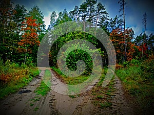 Autum 69 in your dreams