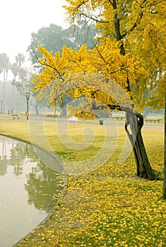 Autumm field photo