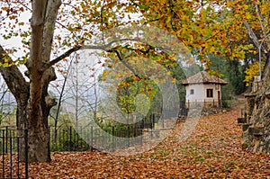 Autumm landscape with fallen leaves and house photo